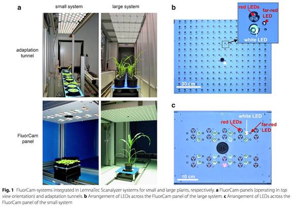 ../../../產品技術/熒光技術/PSI/Phenotyping/參考文獻/PlantScreen參考文獻/IPK-2017/0101－sm.jpg
